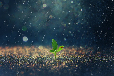 北京大學在職研究生